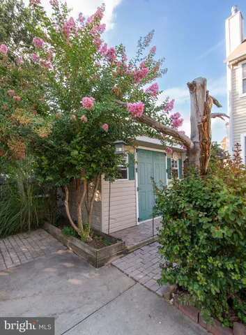 a view of a house with a yard and tree s
