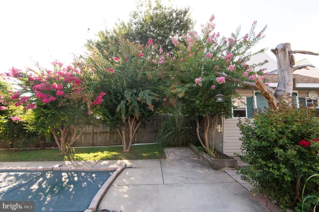 a view of a backyard with tree