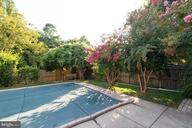 a view of a yard with plants and trees