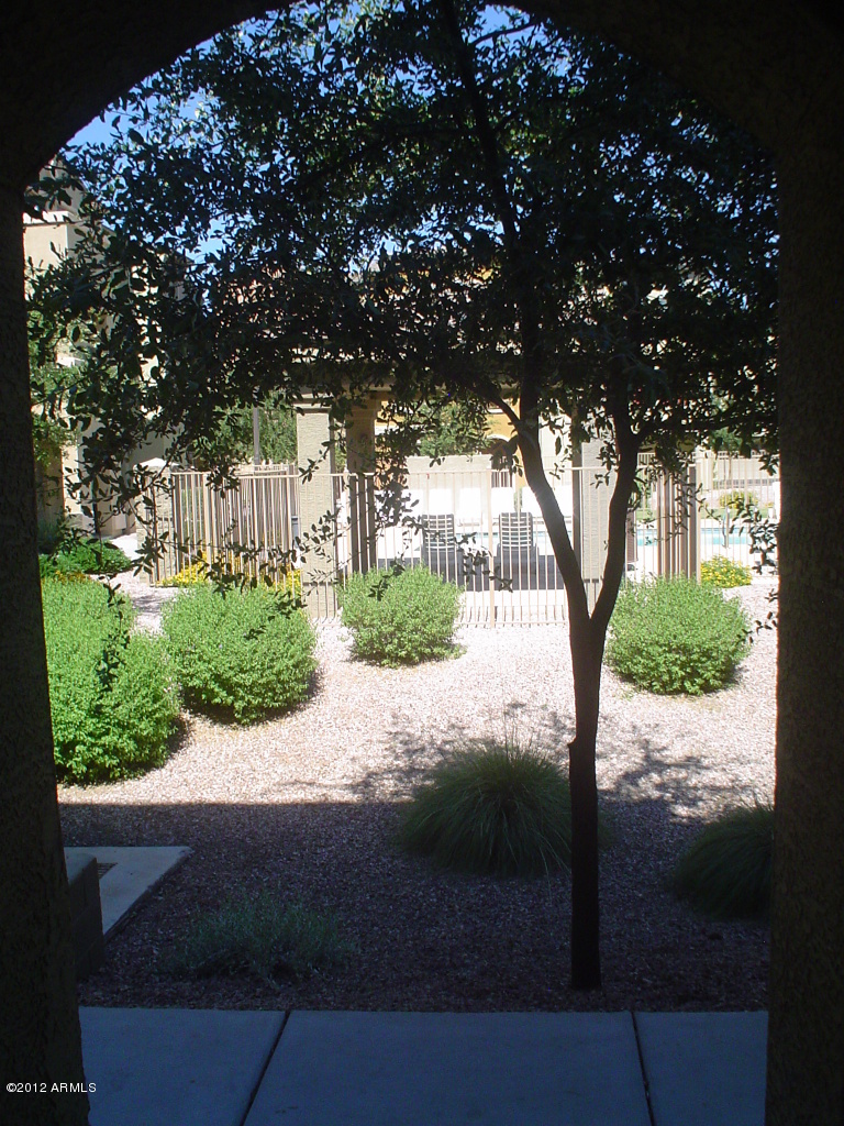 280 South Evergreen Road, Unit 1297 Tempe, AZ 85288 - Photo 24 of 33 View from front door