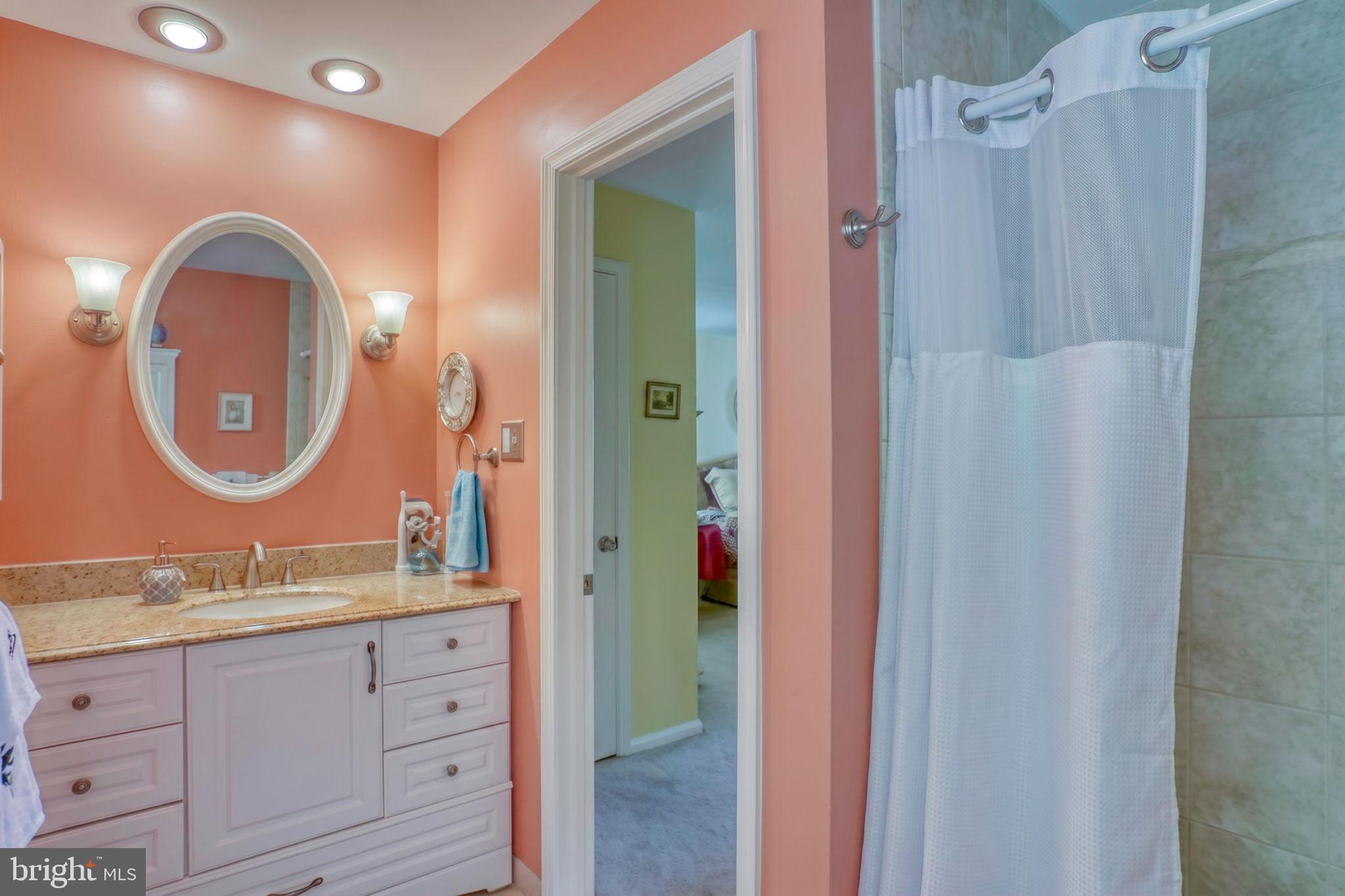 112 Tall Pines Road Newark, DE 19713 - Photo 51 of 62 a bathroom with a granite countertop sink a mirror and a shower