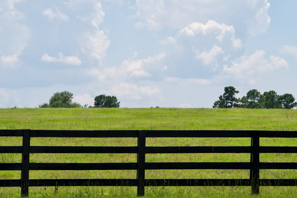 Lot 16 New Bridge Road Aiken, SC 29801 - Photo 7 of 10