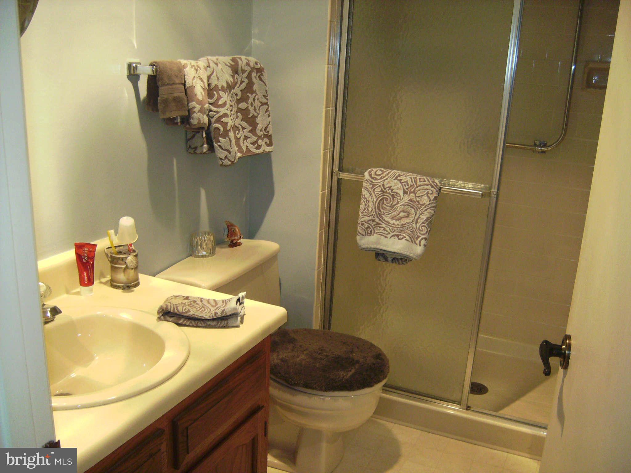 7068 Catalpa Road Frederick, MD 21703 - Photo 21 of 22 Bath