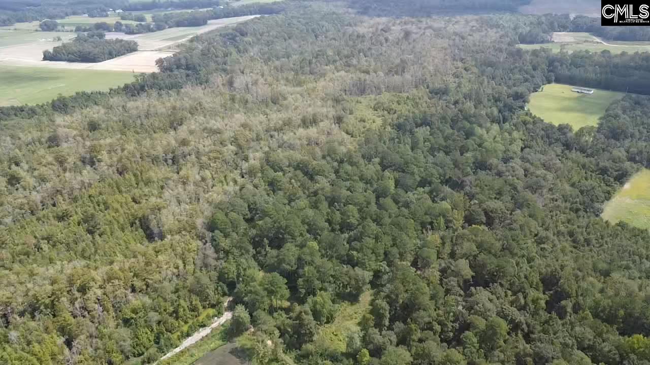 8200 Salem Road New Zion, SC 29111 - Photo 14 of 17