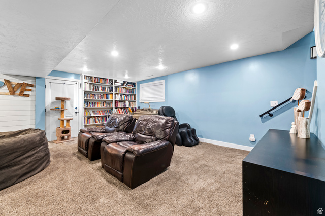 141 North 600 East Mapleton, UT 84664 - Photo 20 of 44 Cinema room featuring light carpet, a textured ceiling, and built in shelves