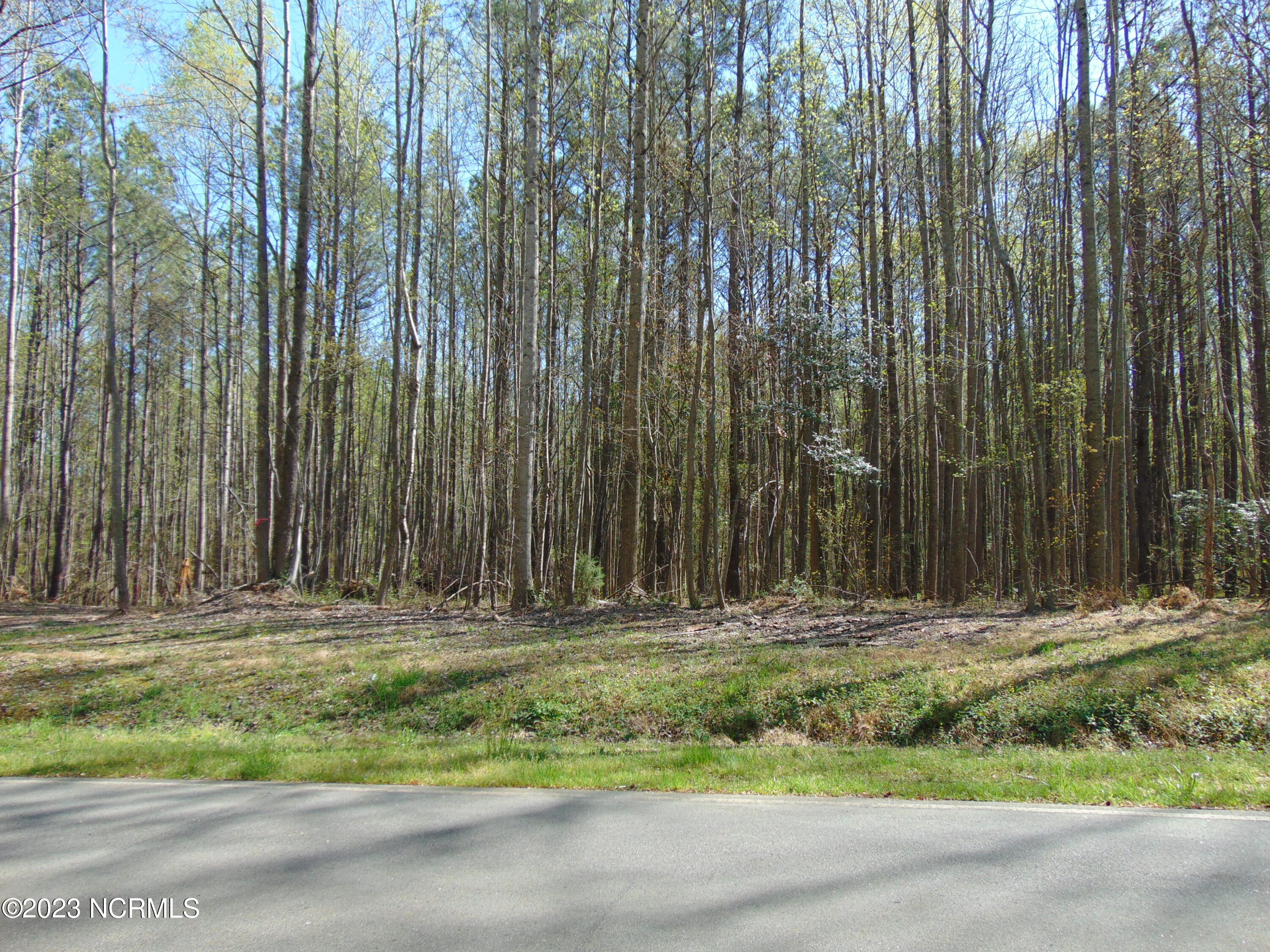 0 Bass Road Spring Hope, NC 27882 - Photo 1 of 9 DSC03450