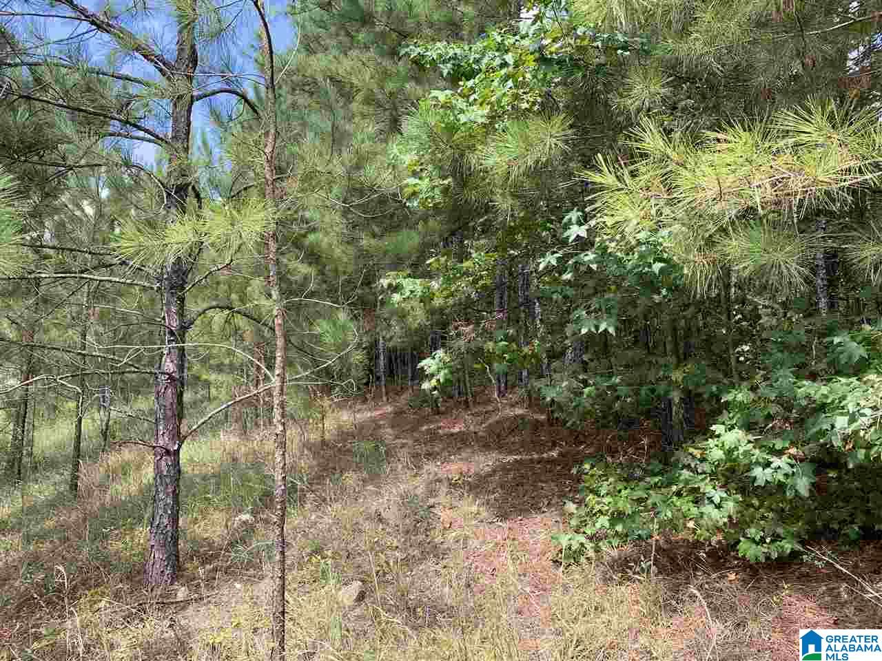 Mckesie Street, Unit 40 Riverside, AL 35135 - Photo 14 of 24