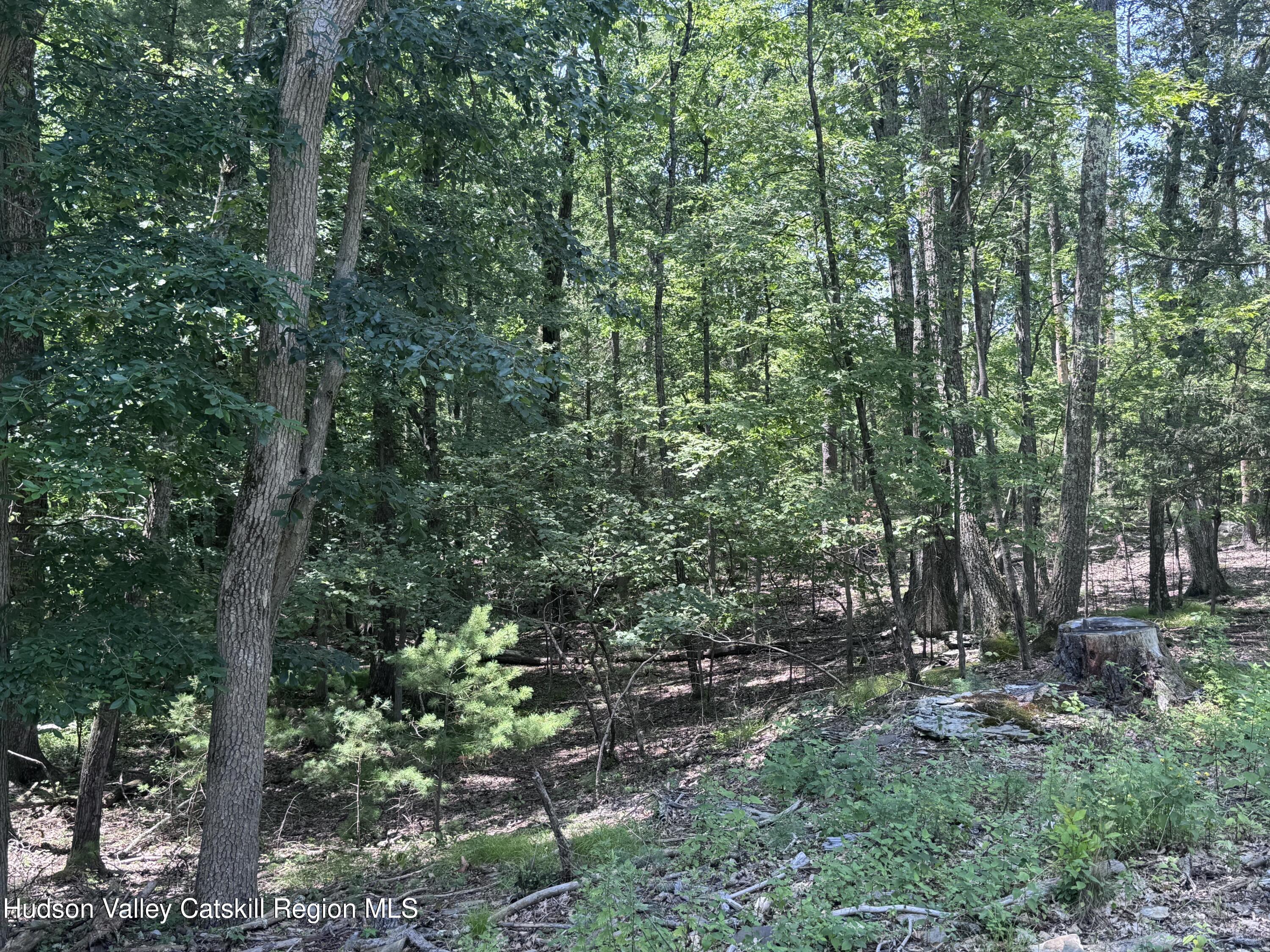 86 Goat Hill Road Saugerties, NY 12477 - Photo 5 of 15 IMG-4125