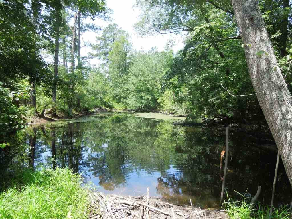Cook Road Carthage, NC 28327 - Photo 2 of 10 Photo 2