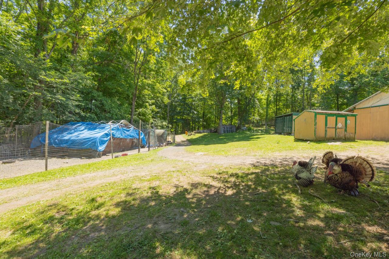 355 Fosler Road Wallkill, NY 12589 - Photo 26 of 49
