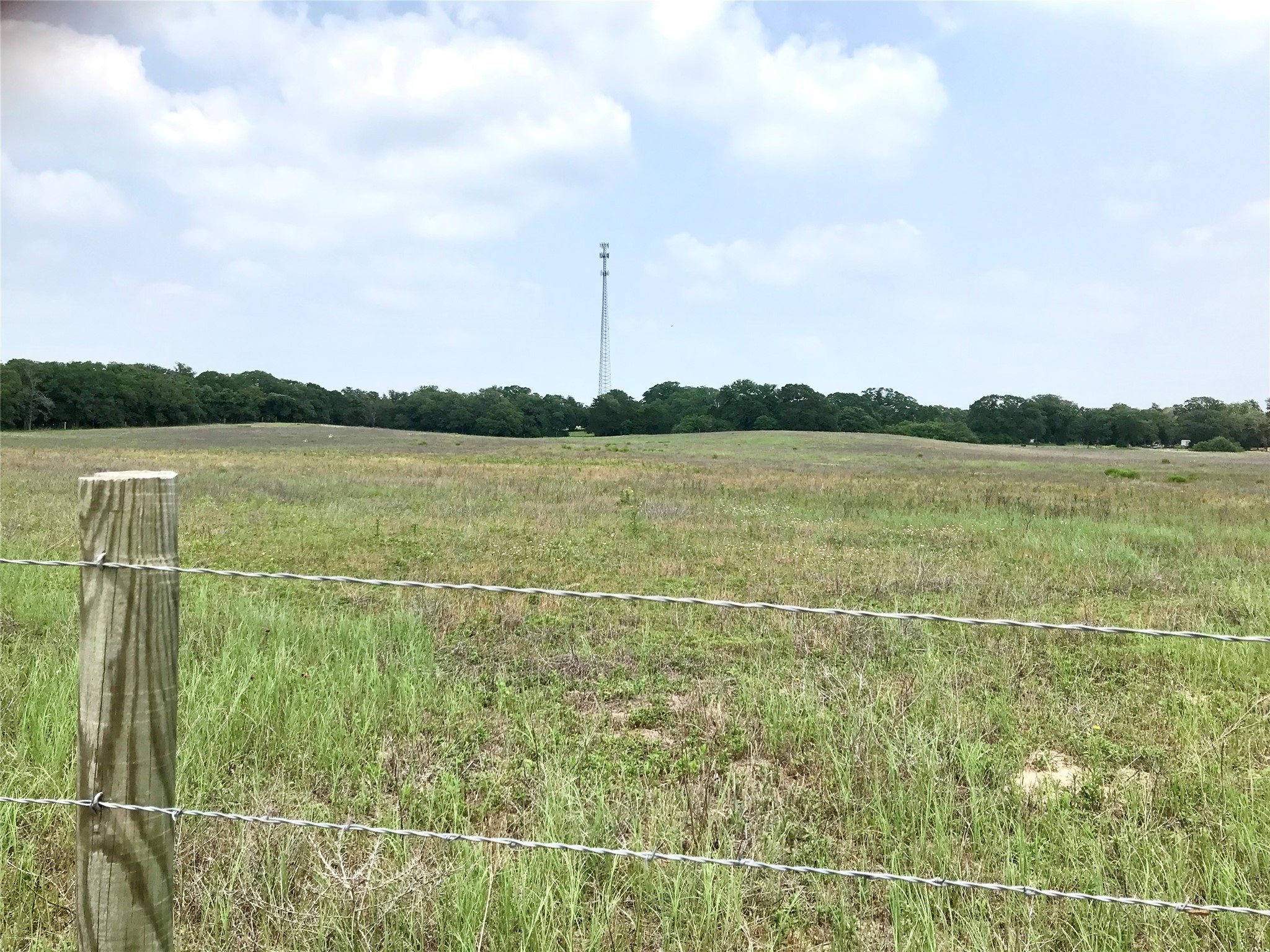 This shows the fencing along the shared access easement. The tract extends over to the heavily treed area in the background.
