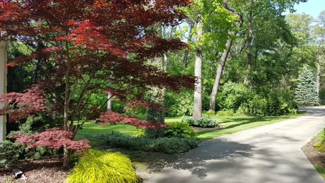 2052 North 3639th Road Serena, IL 60549 - Photo 15 of 15 a garden with flowers and trees