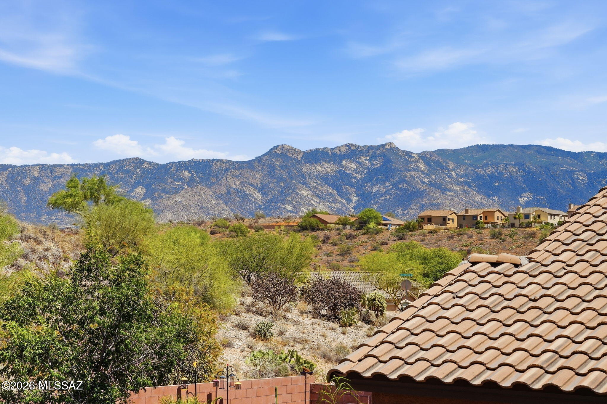 39054 South Running Roses Lane Tucson, AZ 85739 - Photo 43 of 44
