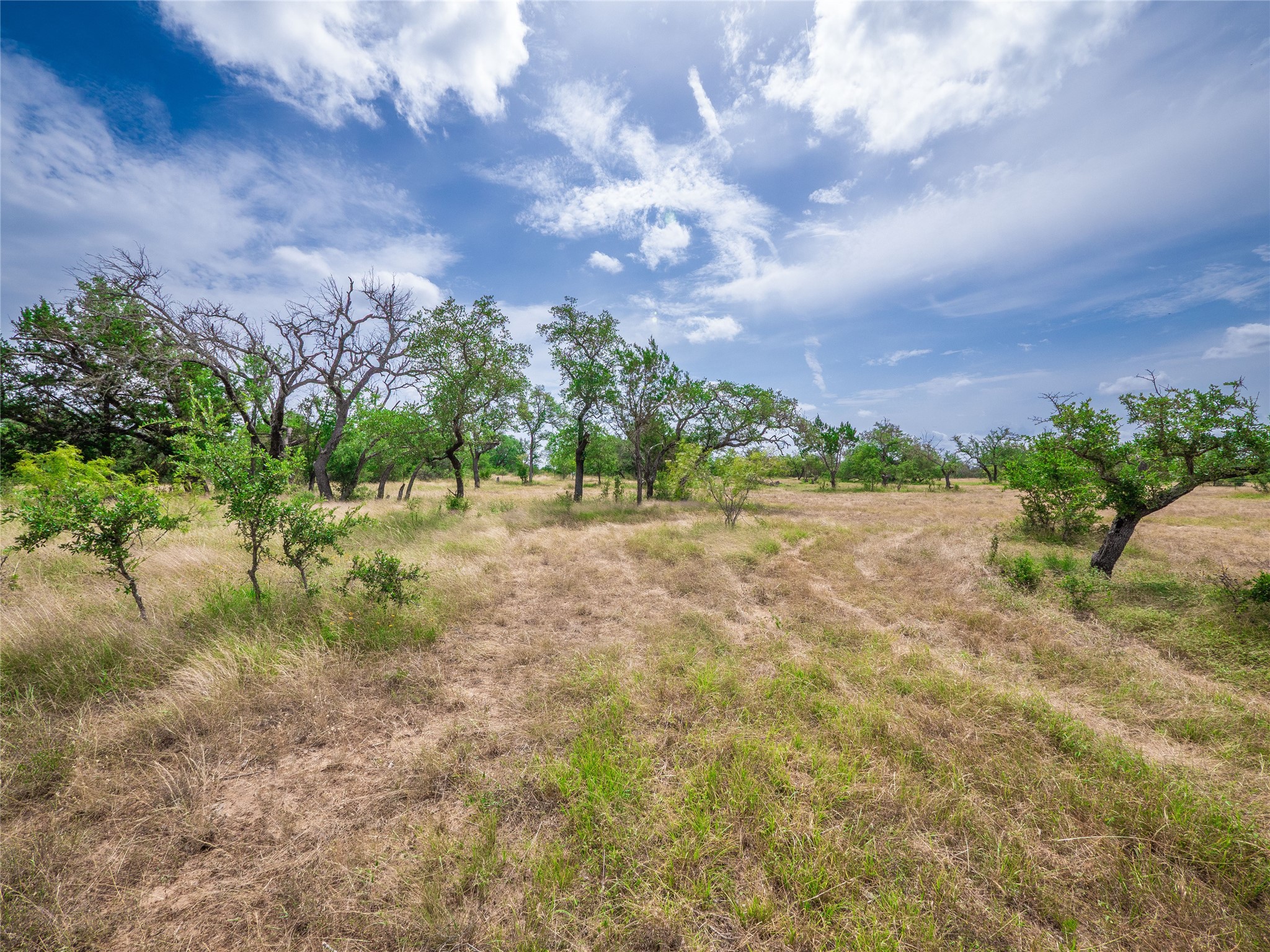 Tbd Winnie Smith Road Round Mountain, TX 78663 - Photo 9 of 30 a view of grassy field with trees