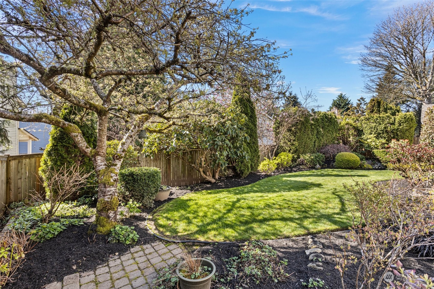 112 236th Place Southwest Bothell, WA 98021 - Photo 31 of 40 a view of a garden with a tree