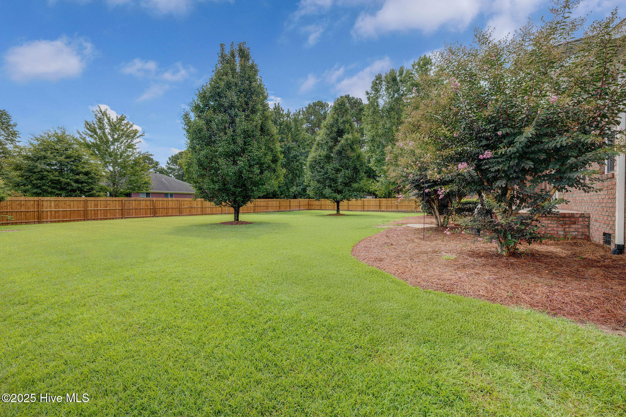 101 Spring Chase Lane Rocky Point, NC 28457 - Photo 5 of 64 digitally enhanced yard