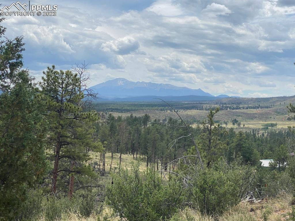 13771 South Hedi Road Sedalia, CO 80135 - Photo 34 of 49 a view of a lake in middle of forest