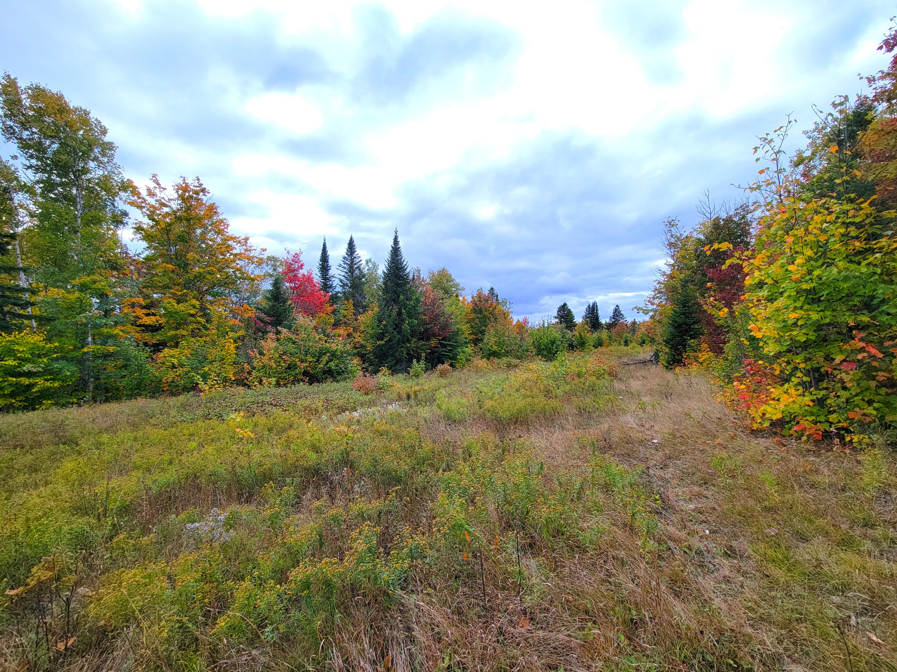 Multiple Multiple Multiple Road Eagle Lake, ME 04739 - Photo 22 of 34 20240928_152245