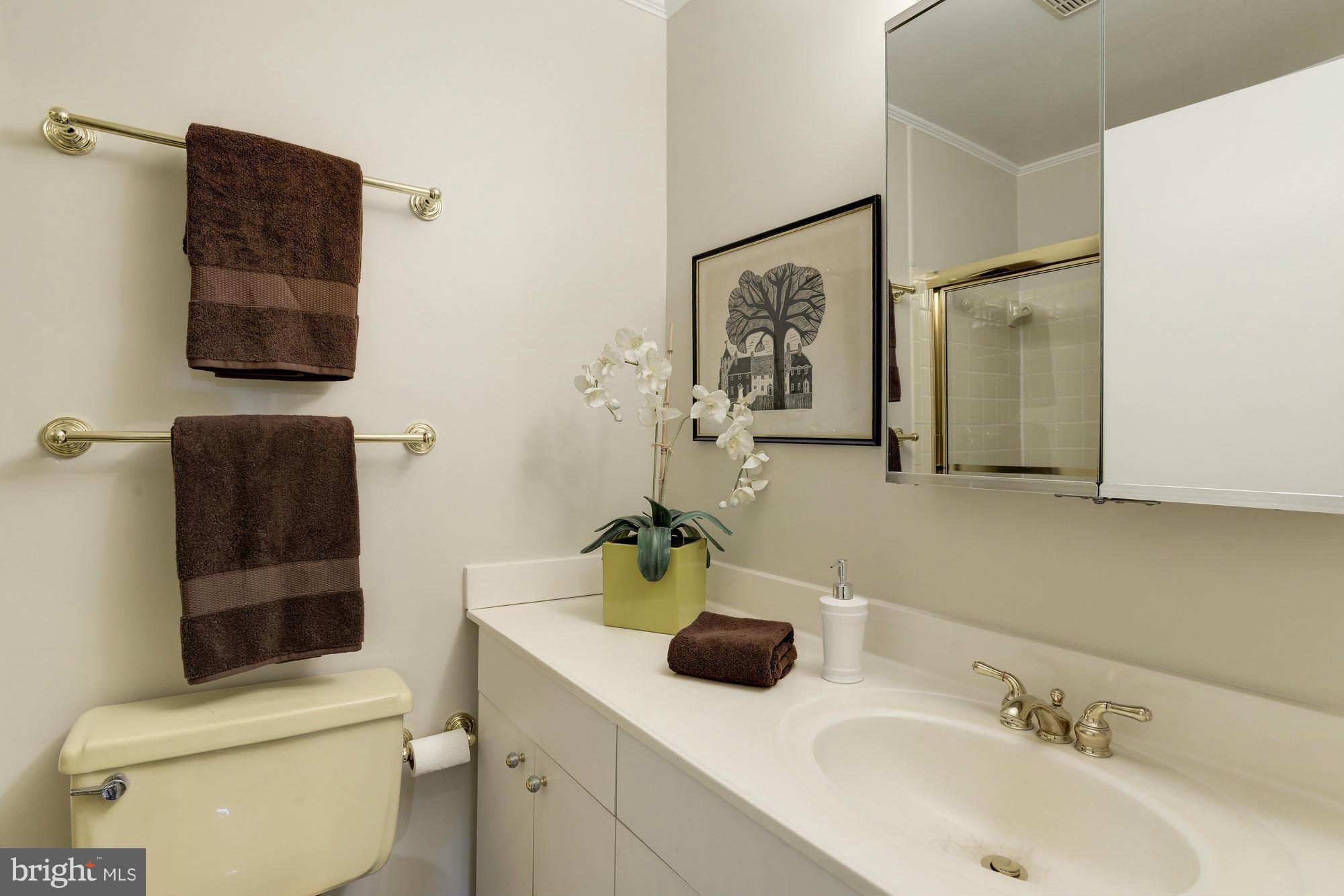 1419 Foxhall Road Northwest Washington, DC 20007 - Photo 9 of 19 a bathroom with a sink toilet and shower