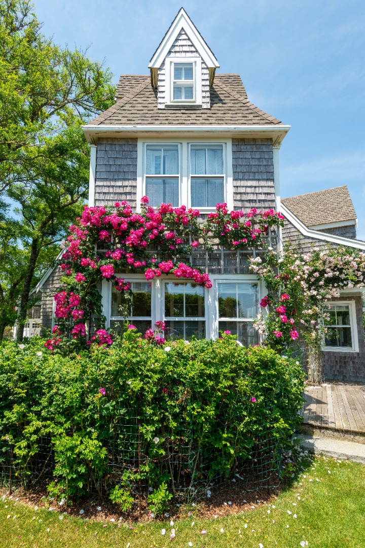 33 Baxter Road Nantucket, MA 02554 - Photo 48 of 48 Gallery Image 48