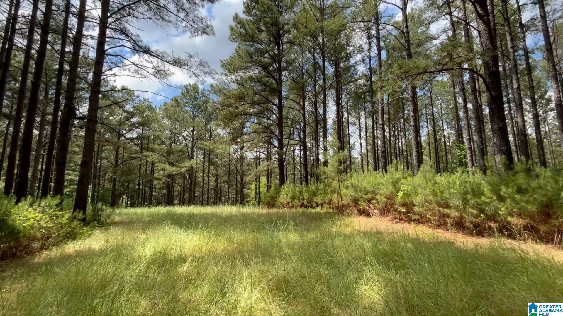 5145 Pine Mountain Road Remlap, AL 35133 - Photo 67 of 100