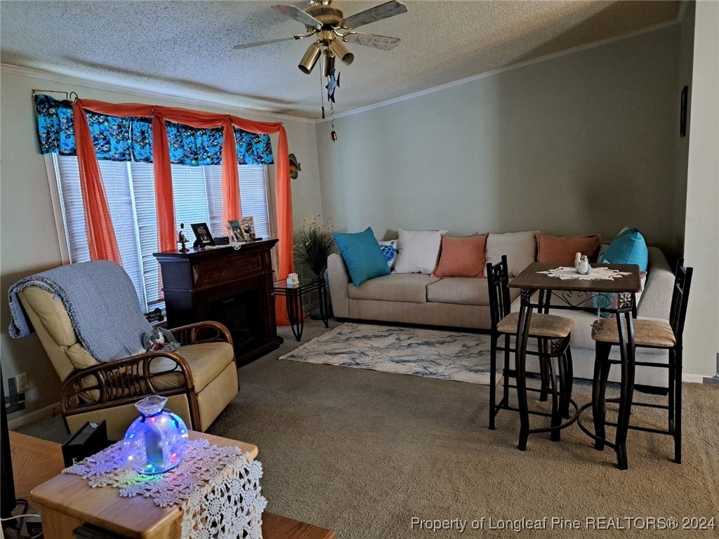 1059 Tc Jones Road Raeford, NC 28376 - Photo 12 of 21 Gallery Image 12