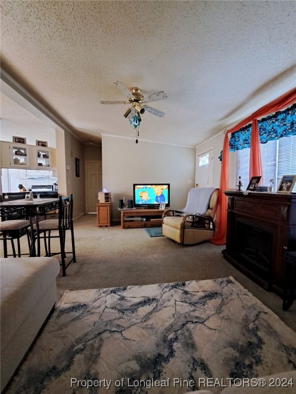 1059 Tc Jones Road Raeford, NC 28376 - Photo 13 of 21 Gallery Image 13