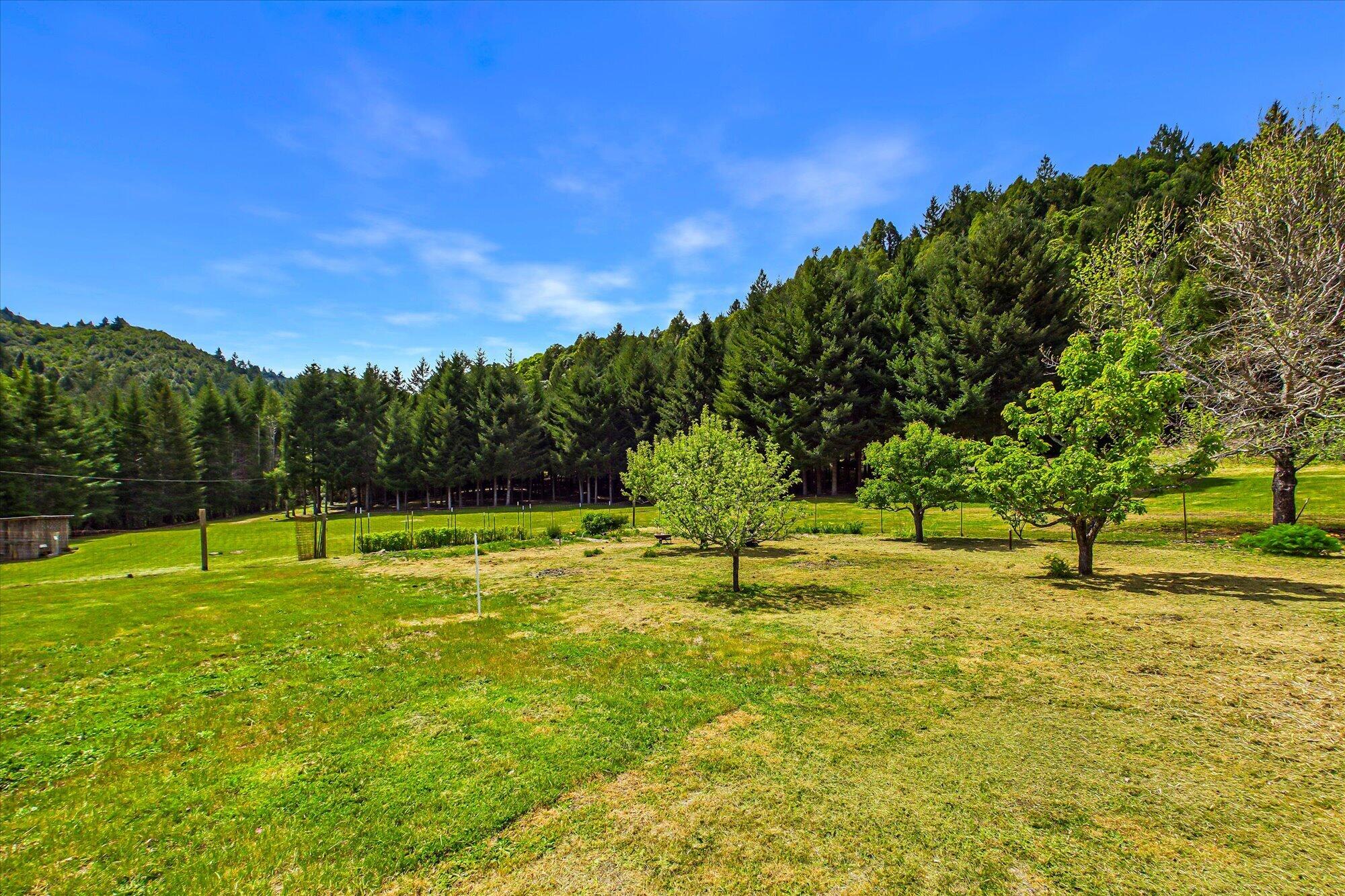303 Hungry Gulch Road Whitethorn, CA 95589 - Photo 53 of 58