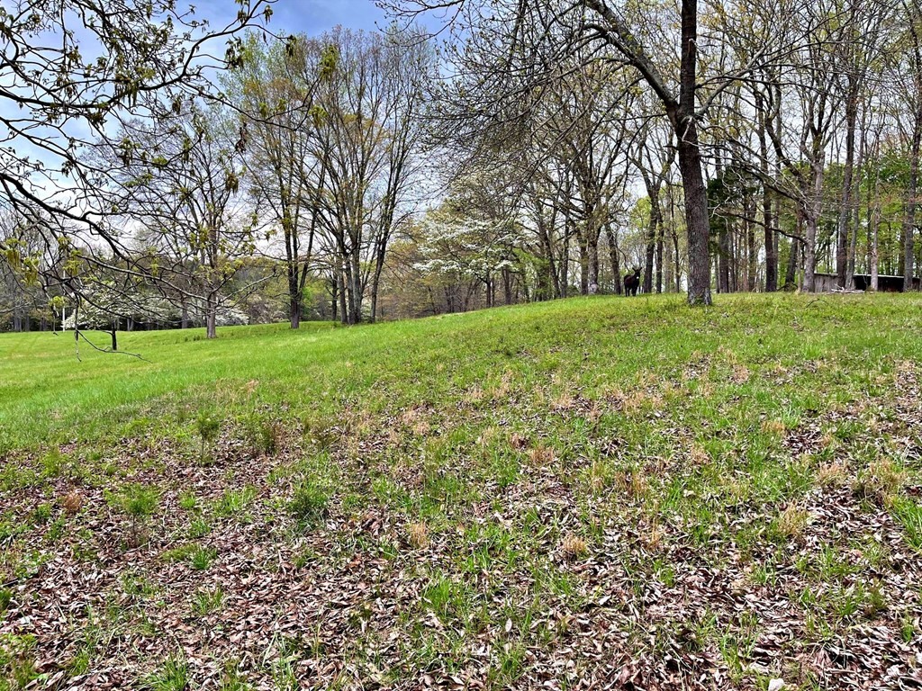 180 Shoemaker Lane Decatur, TN 37322 - Photo 29 of 70 Gallery Image 29