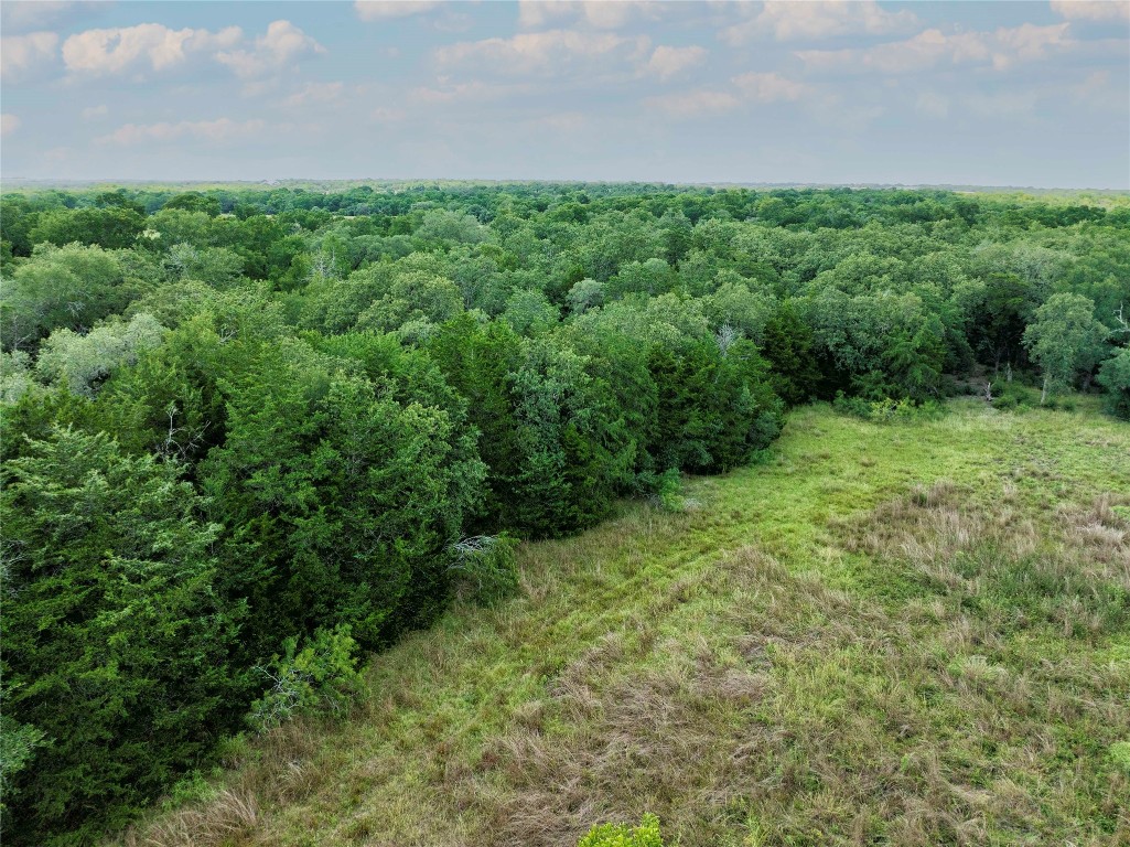 0 Hranicky Road Schulenburg, TX 78956 - Photo 13 of 19 a view of a lush green space