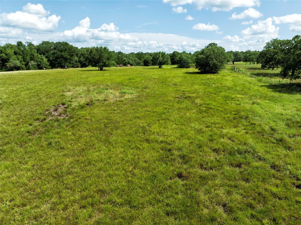 0 Hranicky Road Schulenburg, TX 78956 - Photo 16 of 19 a view of a green field with trees in the background