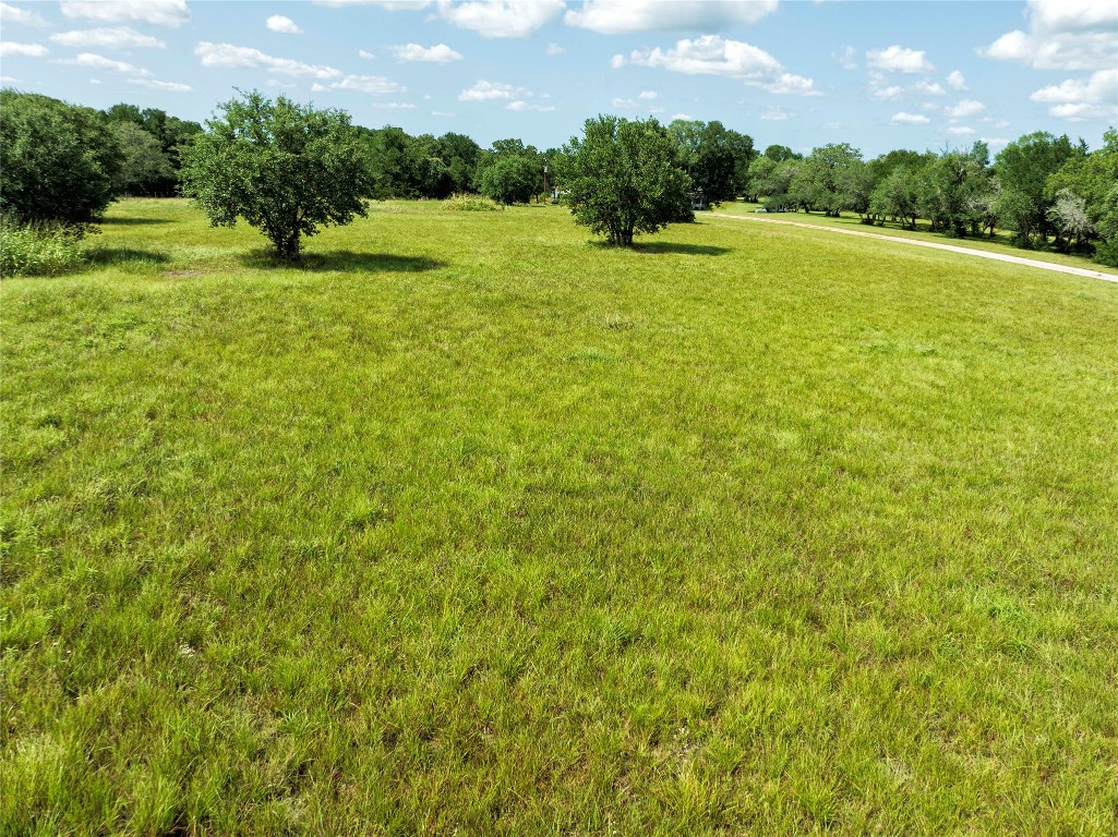 0 Hranicky Road Schulenburg, TX 78956 - Photo 17 of 19 a view of a garden