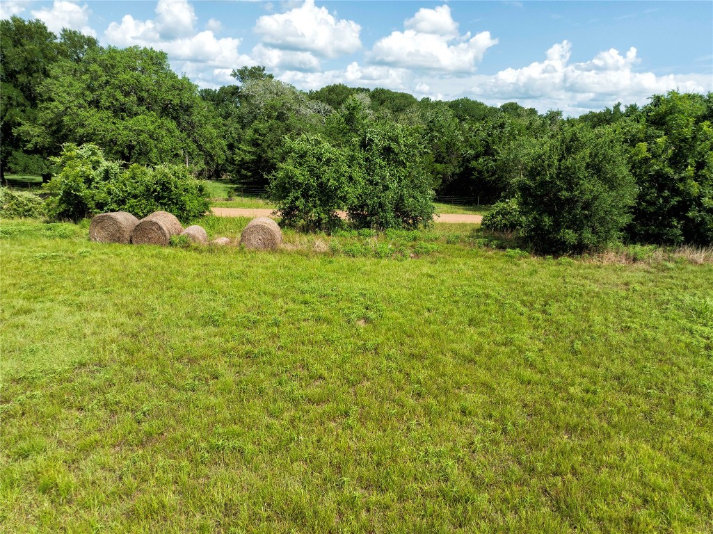 0 Hranicky Road Schulenburg, TX 78956 - Photo 18 of 19 a backyard of a house with lots of green space