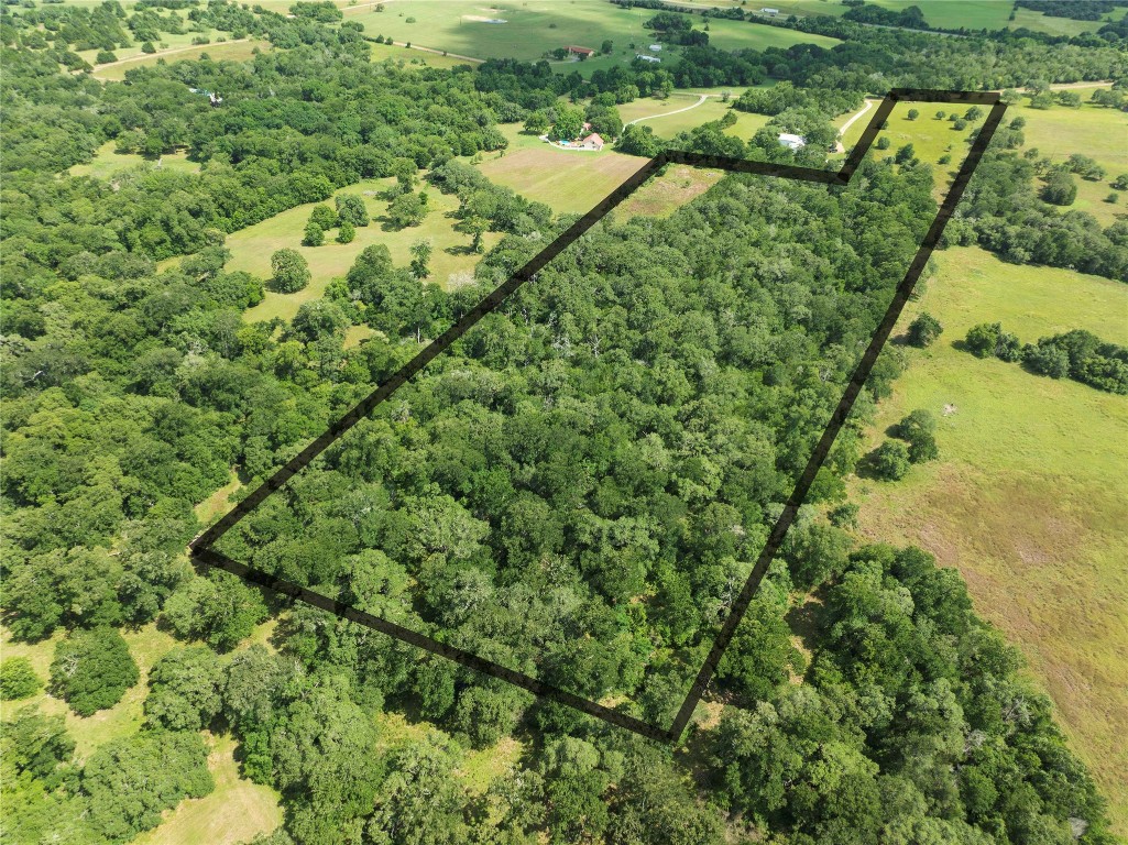 0 Hranicky Road Schulenburg, TX 78956 - Photo 6 of 19 a view of a garden