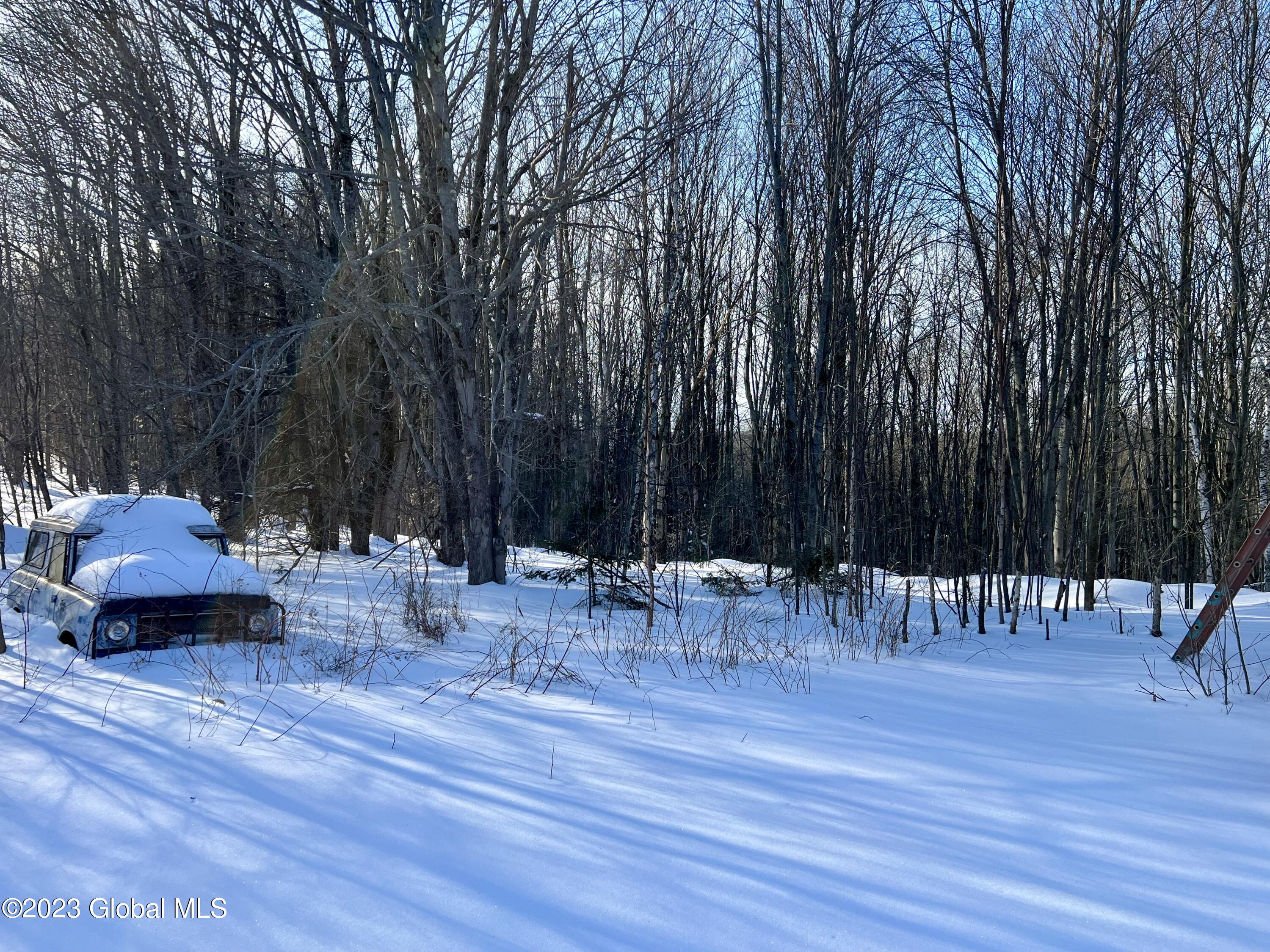 384 Algerine Hill Road Worcester, NY 12197 - Photo 24 of 46 IMG_0796