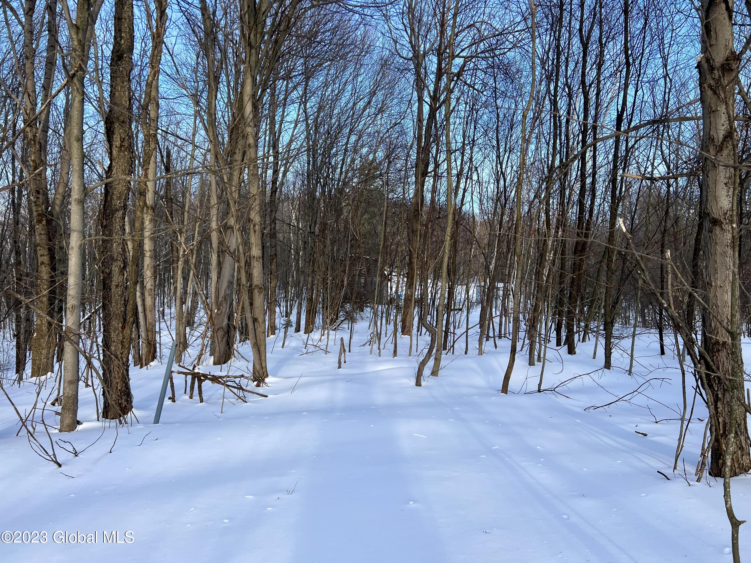 384 Algerine Hill Road Worcester, NY 12197 - Photo 25 of 46 IMG_0840