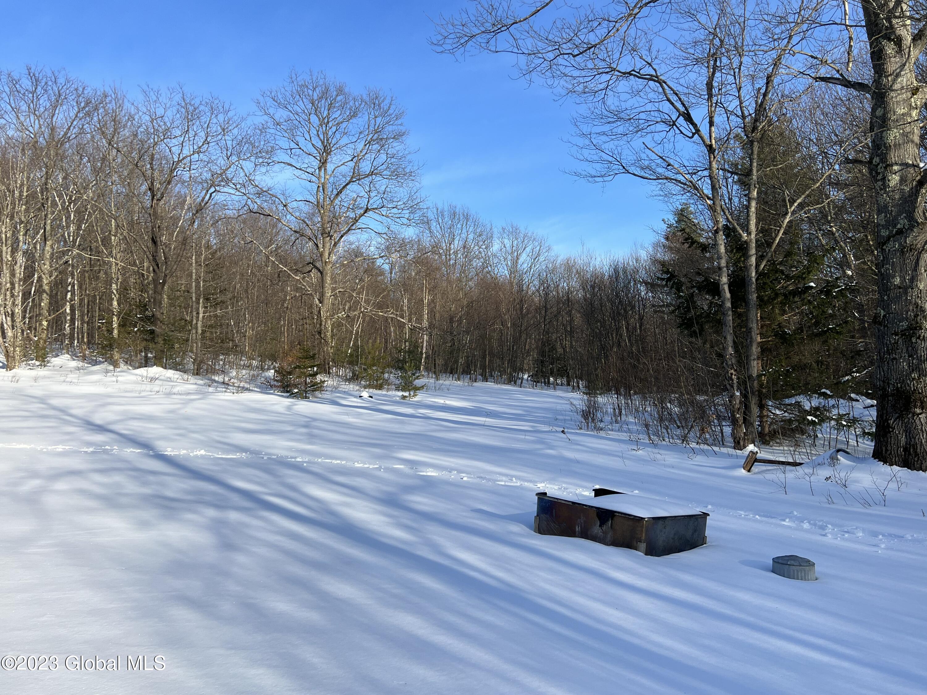 384 Algerine Hill Road Worcester, NY 12197 - Photo 27 of 46 IMG_0792