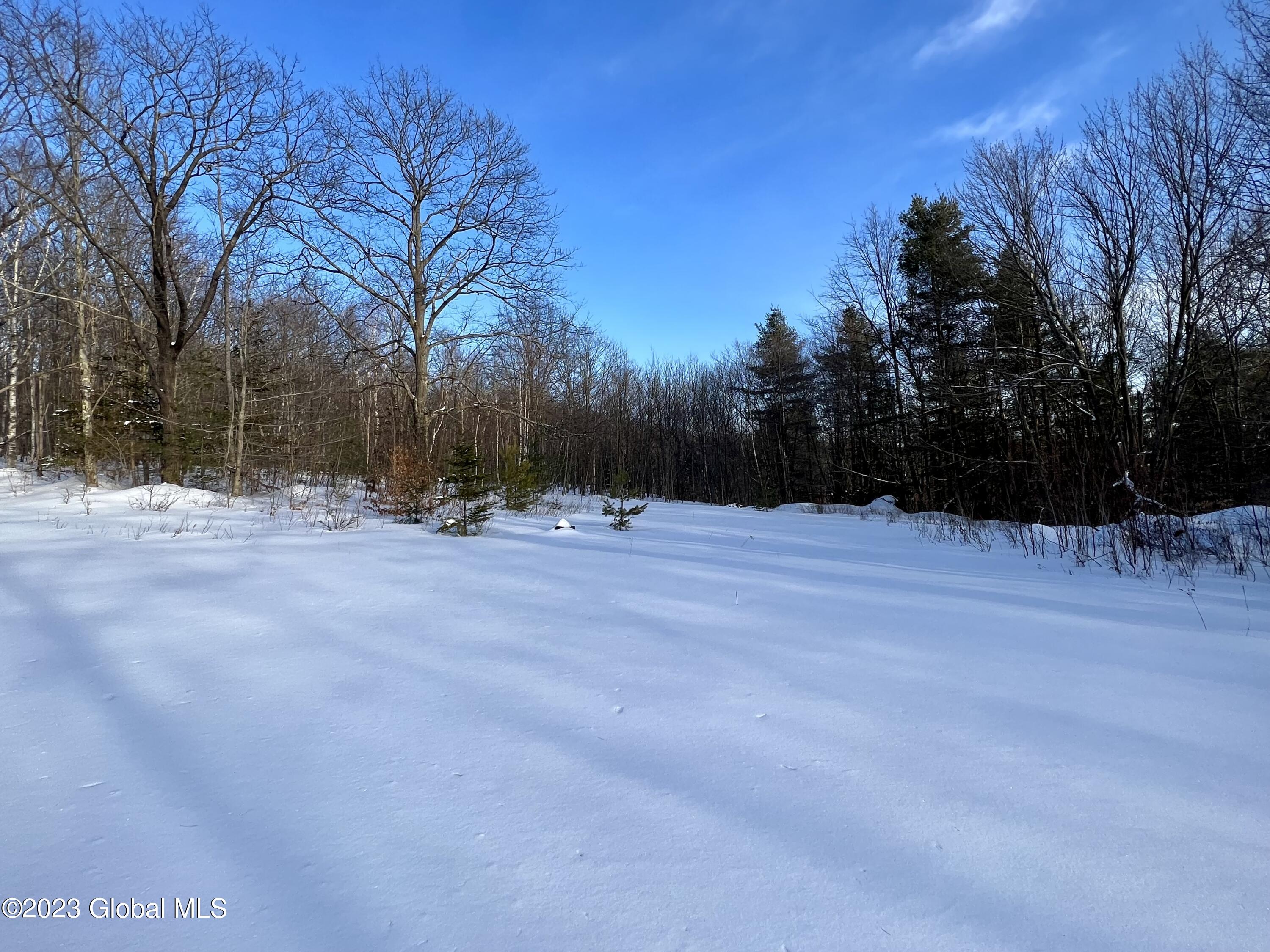 384 Algerine Hill Road Worcester, NY 12197 - Photo 28 of 46 IMG_0833