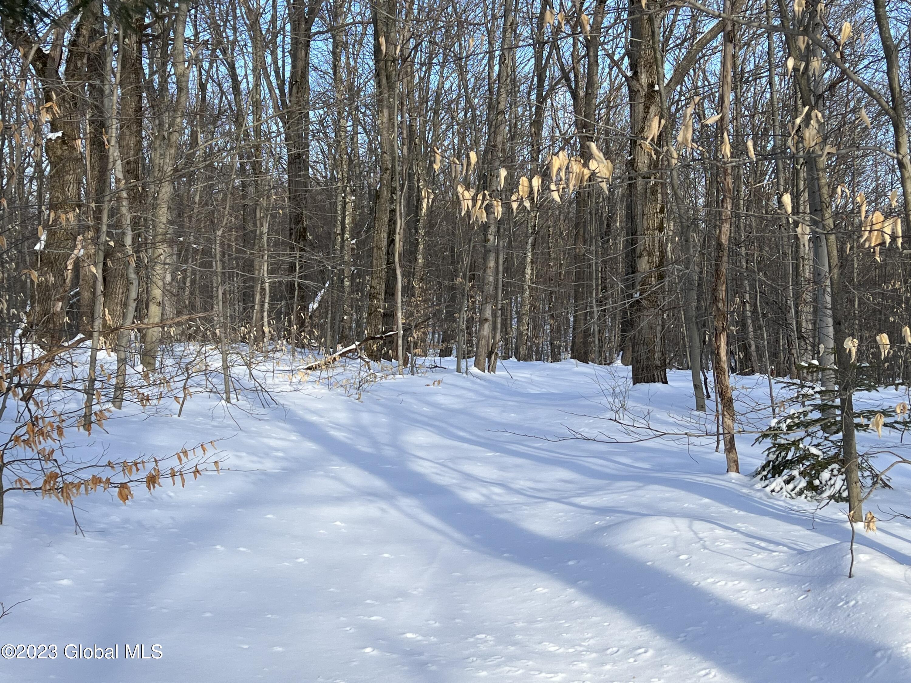384 Algerine Hill Road Worcester, NY 12197 - Photo 33 of 46 IMG_0818