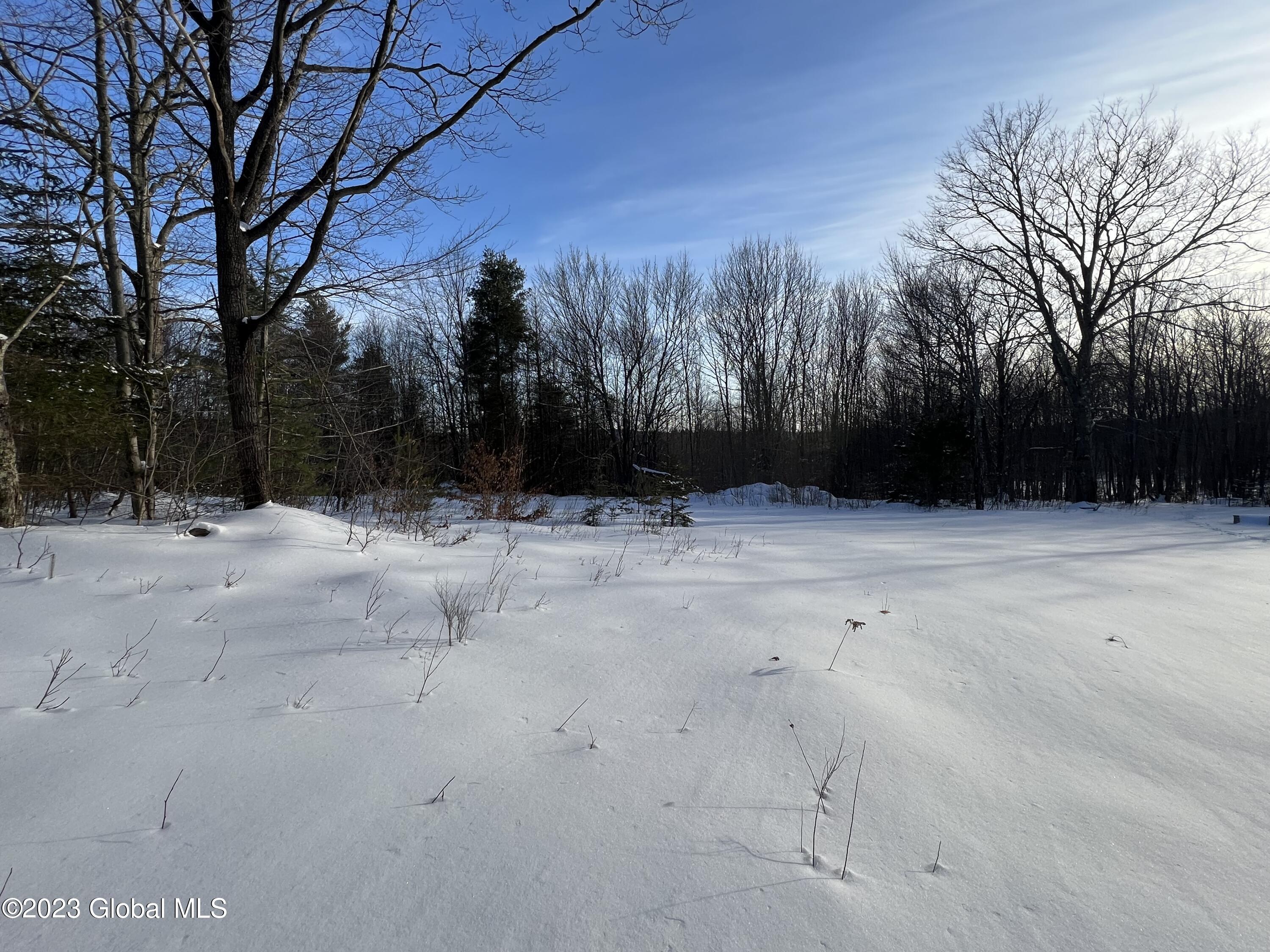 384 Algerine Hill Road Worcester, NY 12197 - Photo 40 of 46 IMG_0830