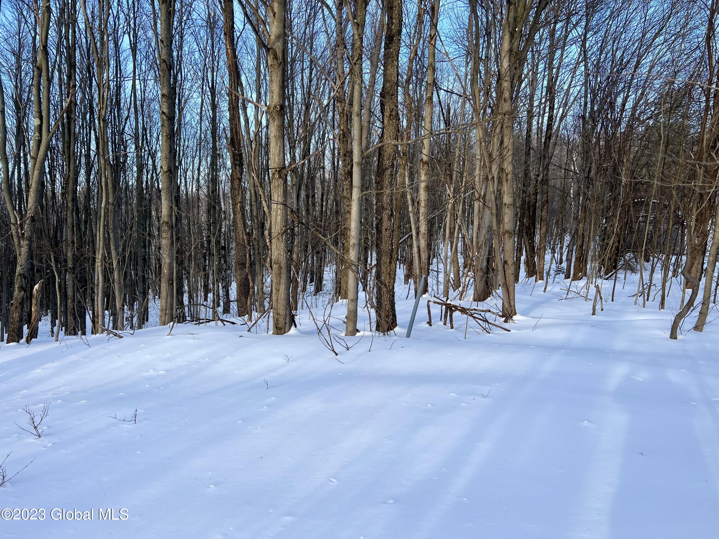384 Algerine Hill Road Worcester, NY 12197 - Photo 41 of 46 IMG_0838