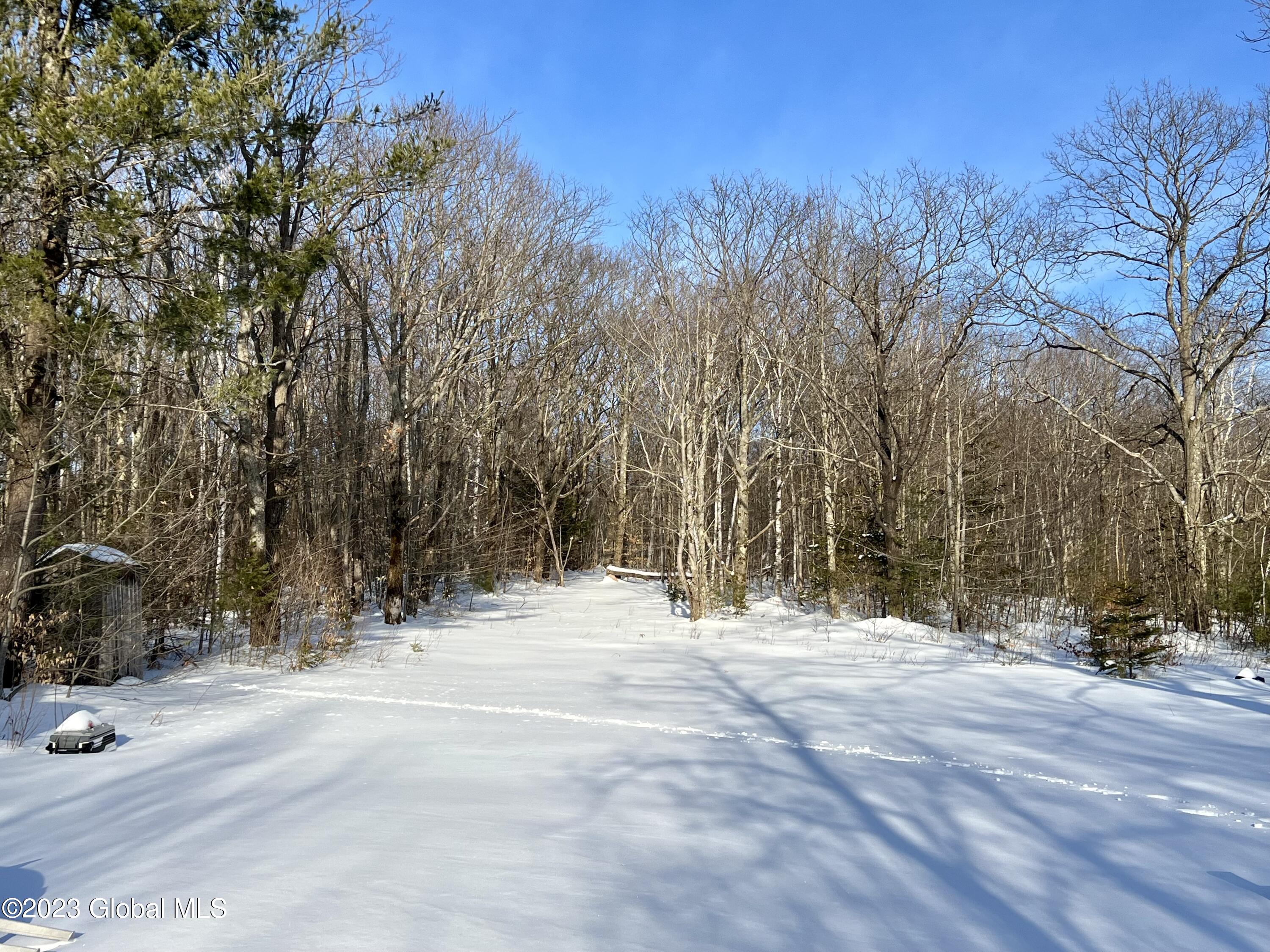 384 Algerine Hill Road Worcester, NY 12197 - Photo 5 of 46 IMG_0790