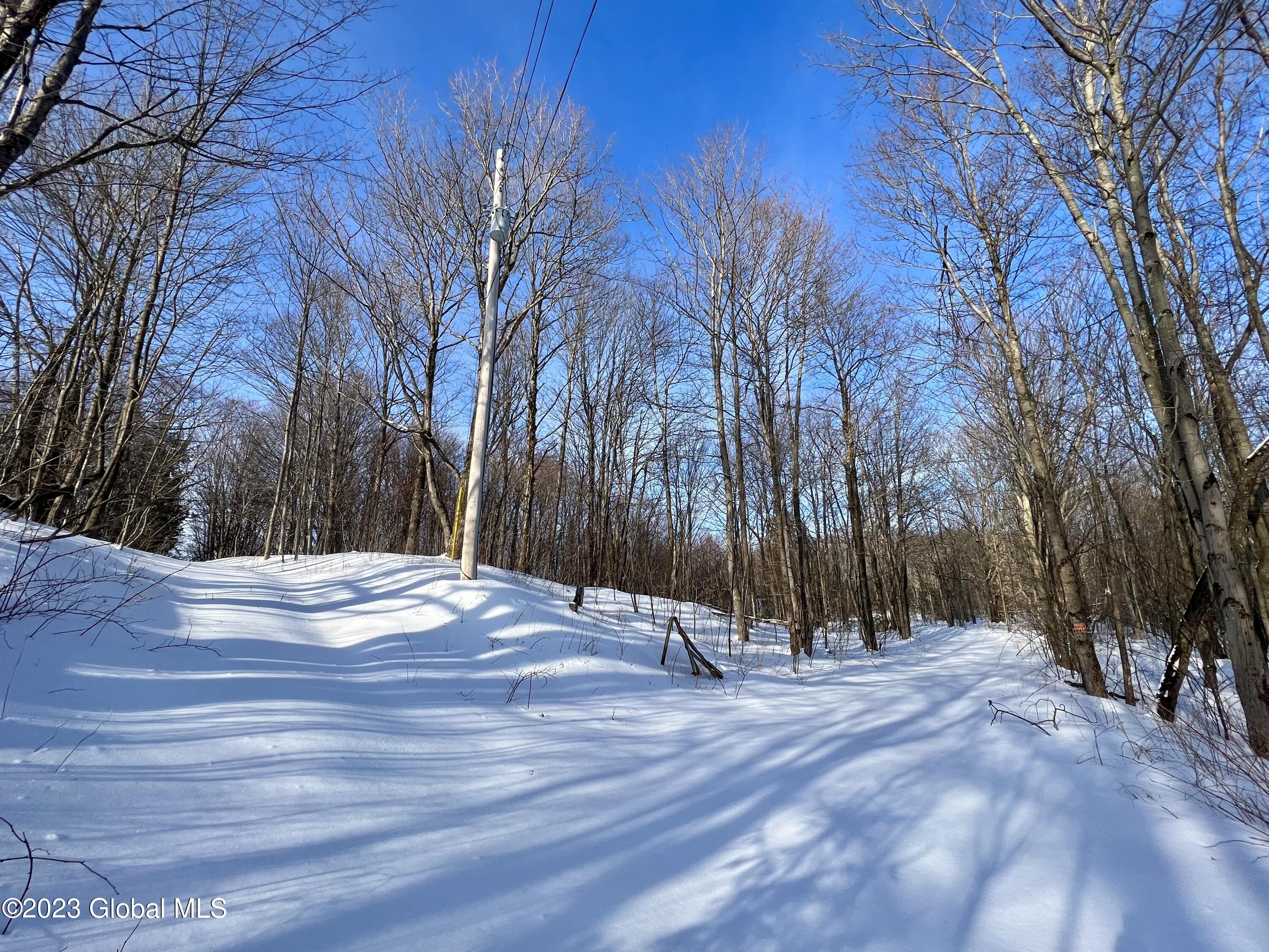 384 Algerine Hill Road Worcester, NY 12197 - Photo 6 of 46 IMG_0780