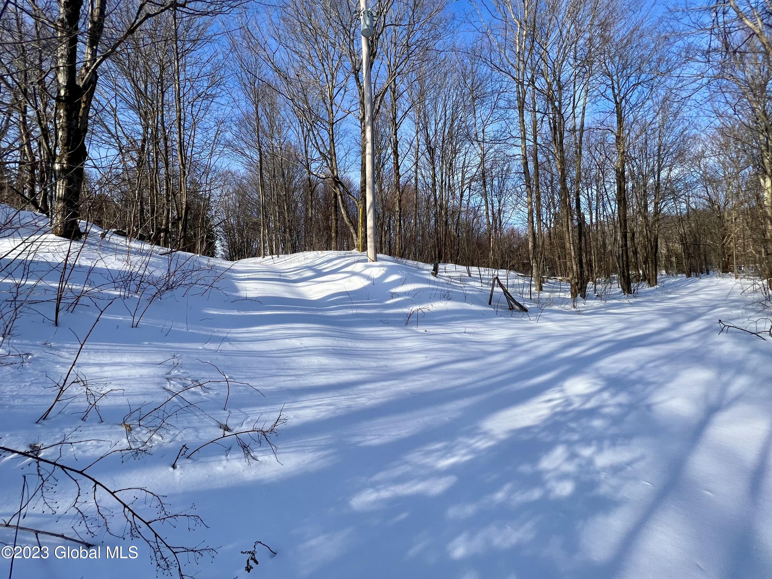 384 Algerine Hill Road Worcester, NY 12197 - Photo 7 of 46 IMG_0781