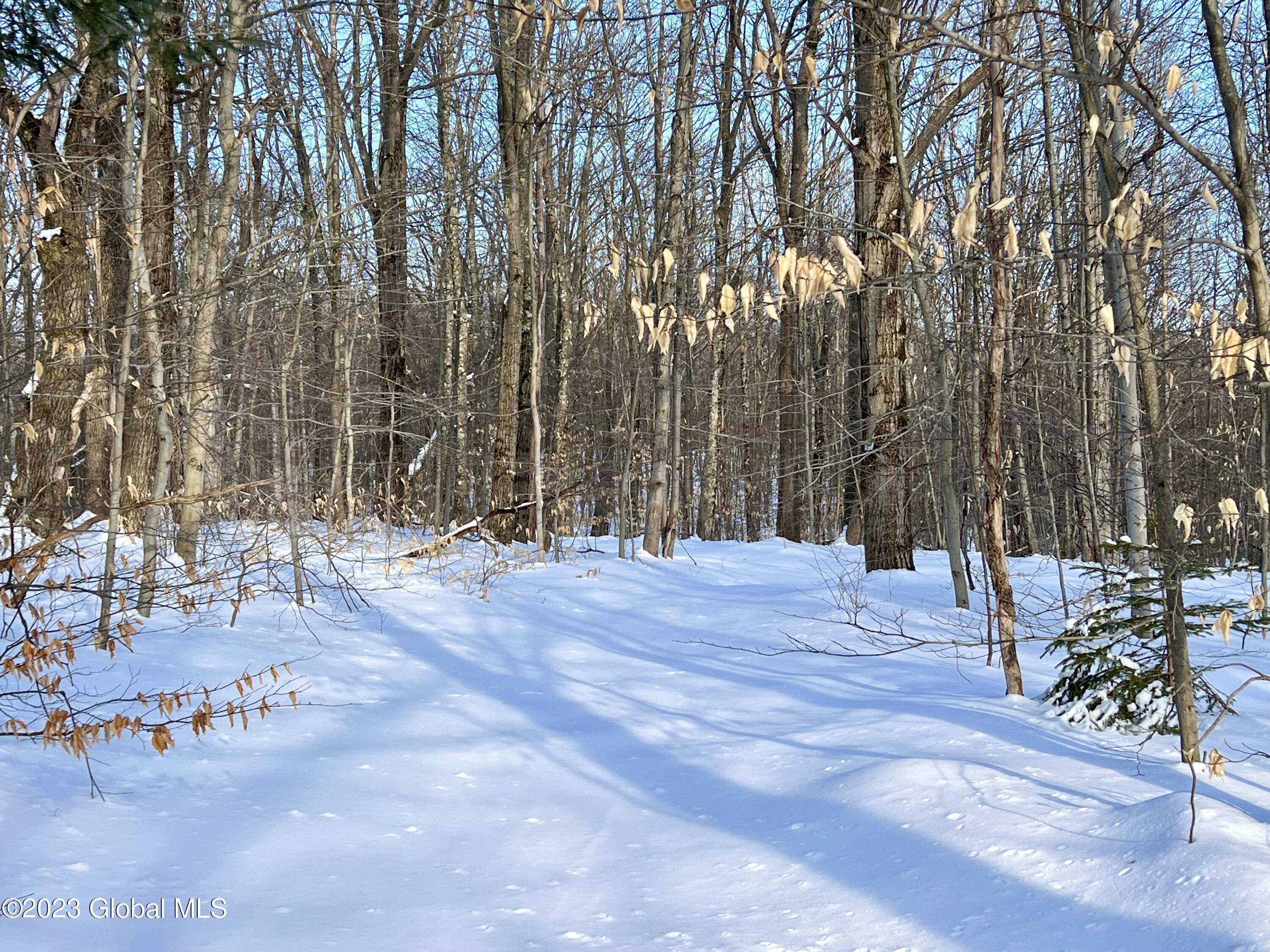 384 Algerine Hill Road Worcester, NY 12197 - Photo 8 of 46 IMG_0817