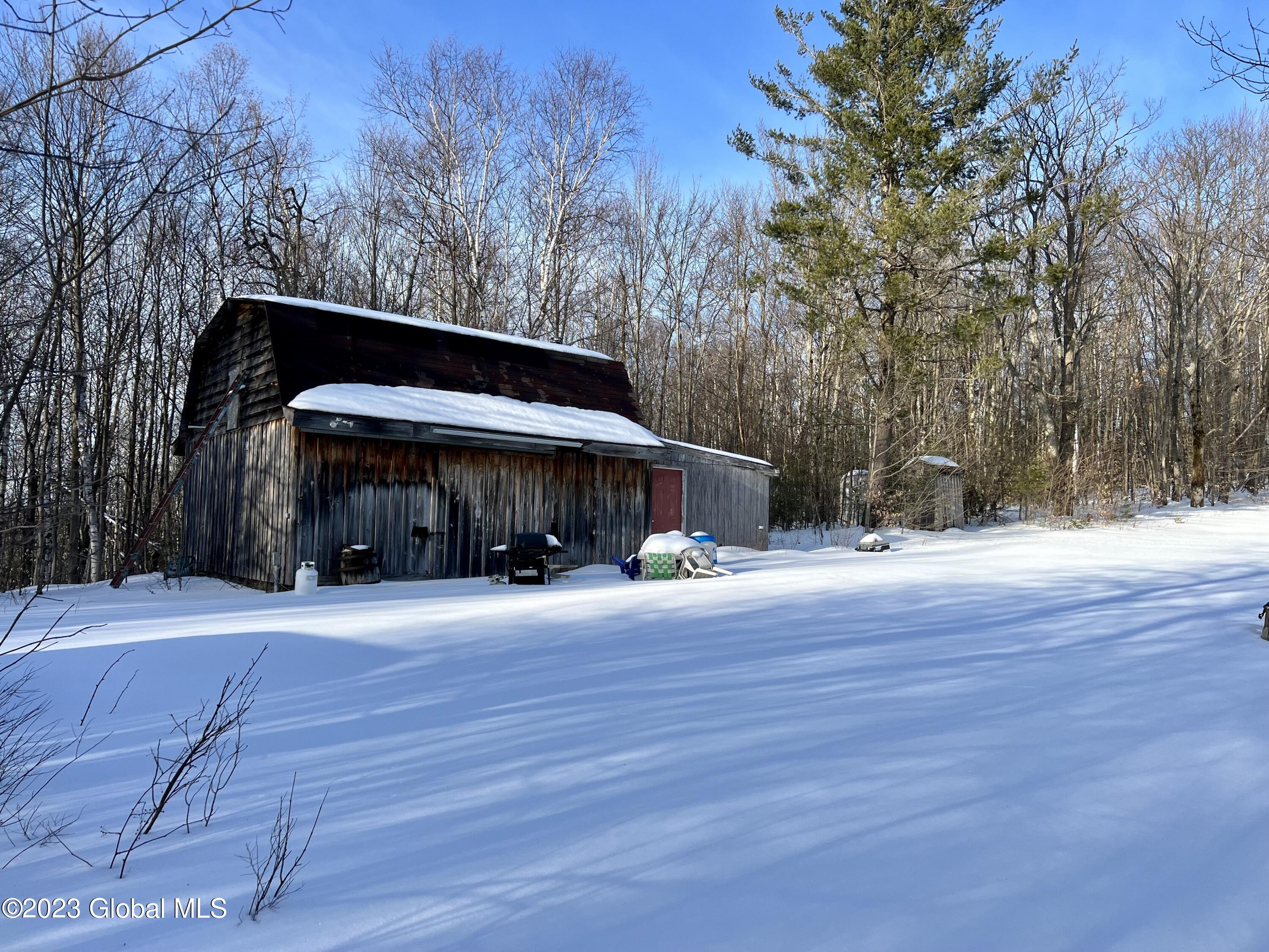 384 Algerine Hill Road Worcester, NY 12197 - Photo 9 of 46 IMG_0784