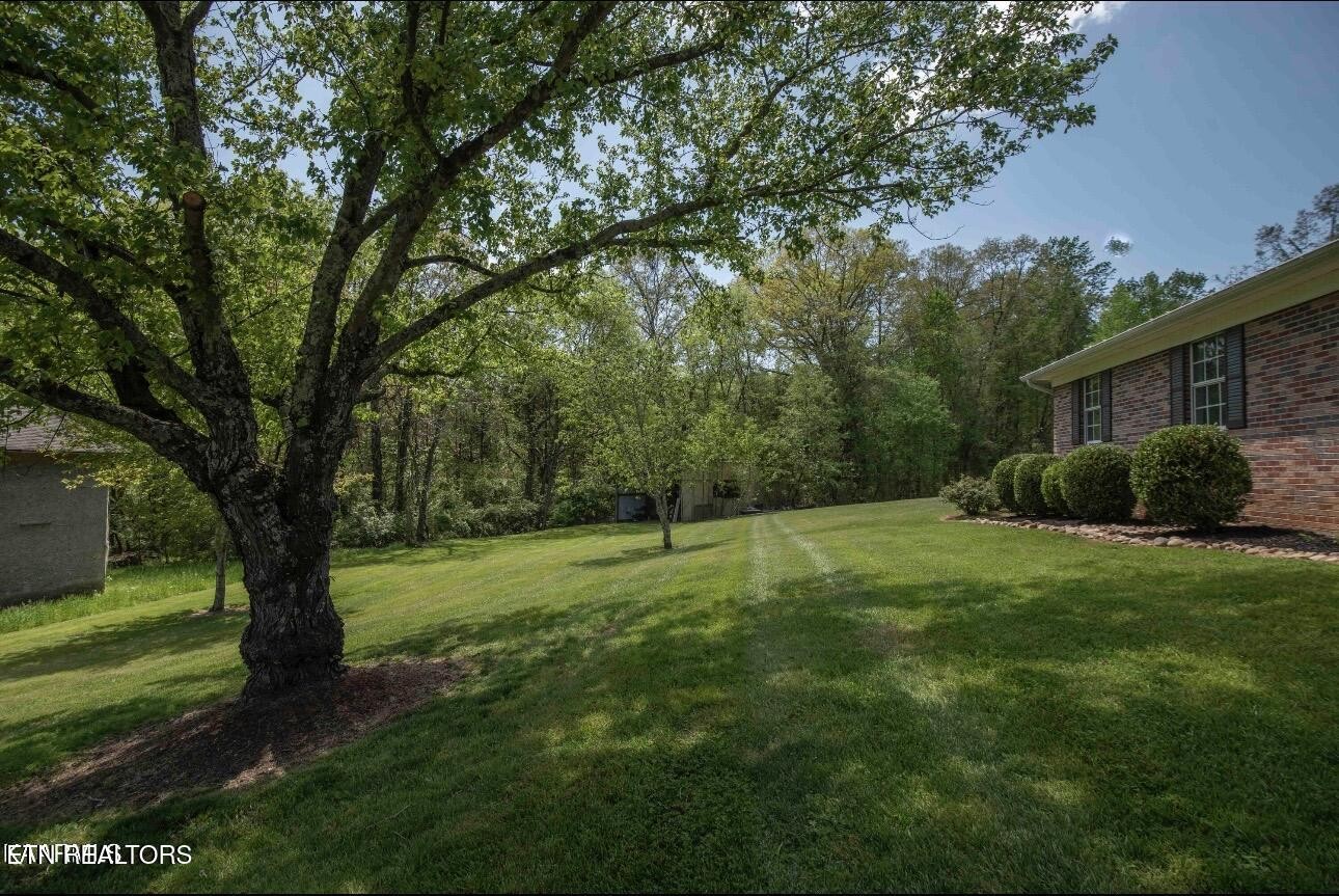 995 Spring Creek Road Dandridge, TN 37725 - Photo 23 of 33 Gallery Image 23