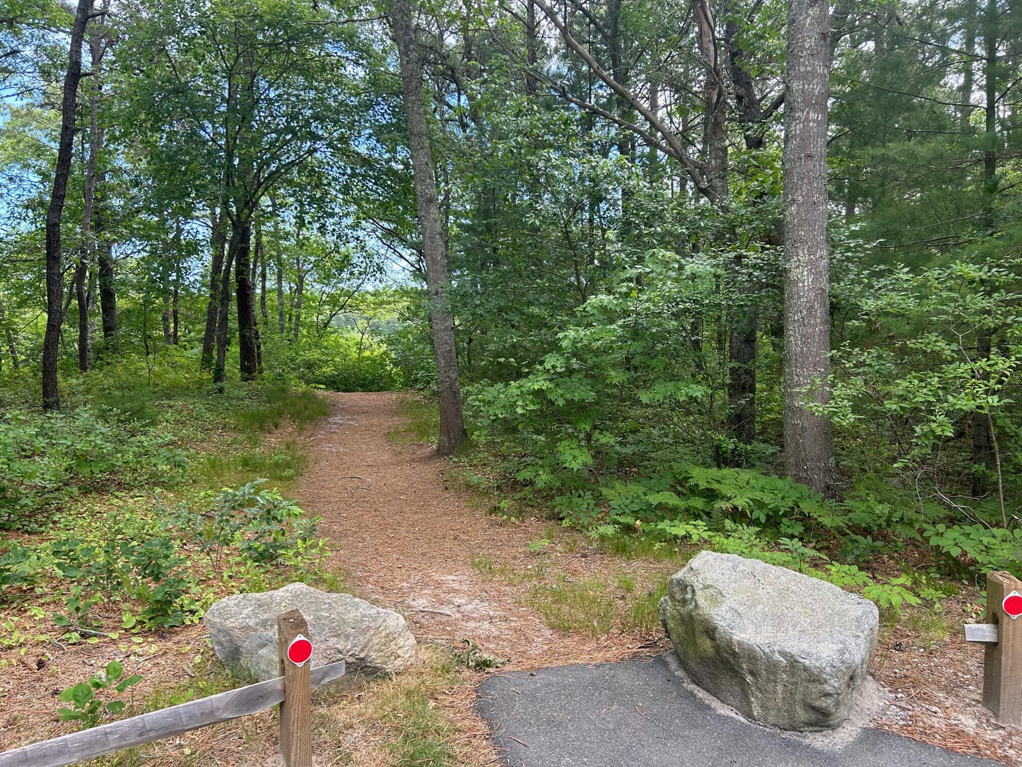 9 North Way Mashpee, MA 02649 - Photo 24 of 31 IMG_1436