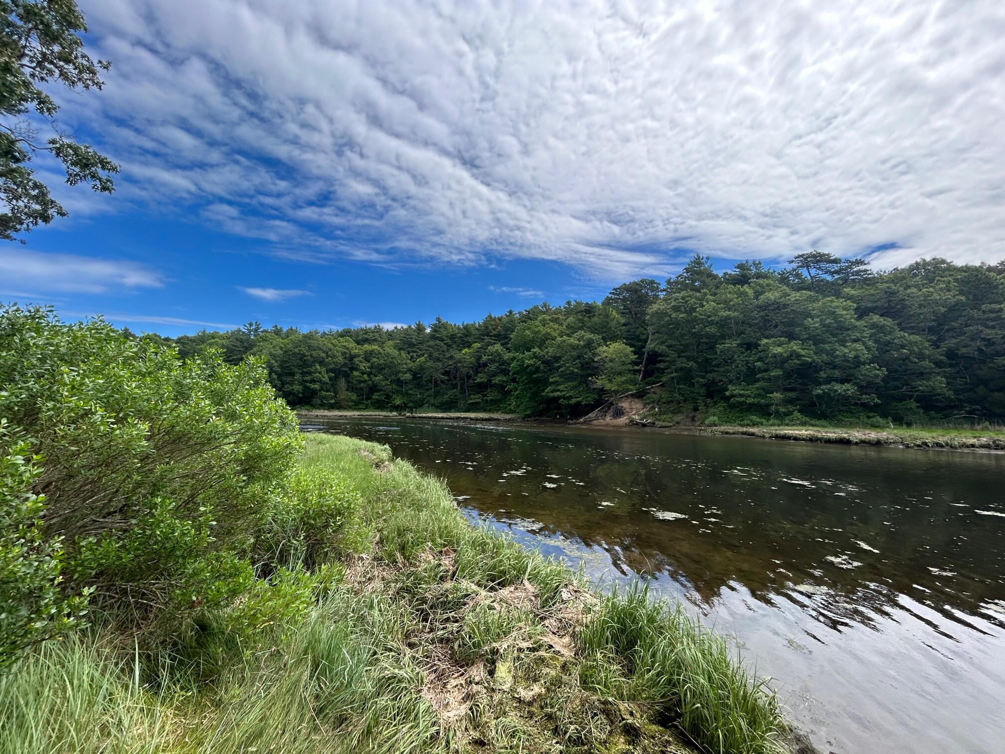 9 North Way Mashpee, MA 02649 - Photo 25 of 31 IMG_1440