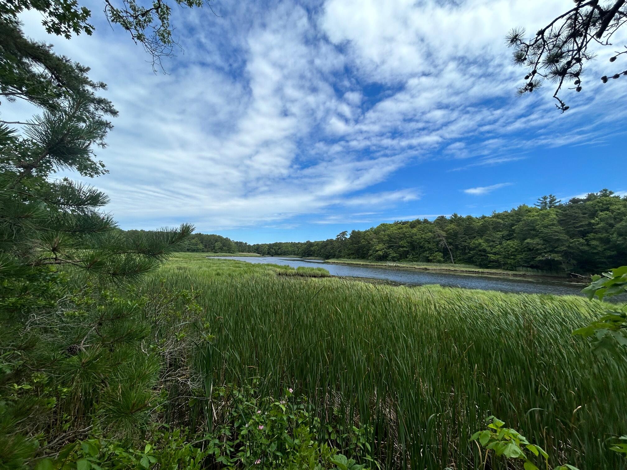 9 North Way Mashpee, MA 02649 - Photo 27 of 31 IMG_1442